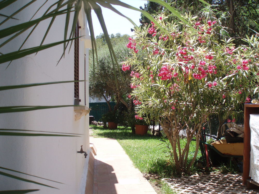 Apartamentos Osa Menor Cala D´Or Kültér fotó